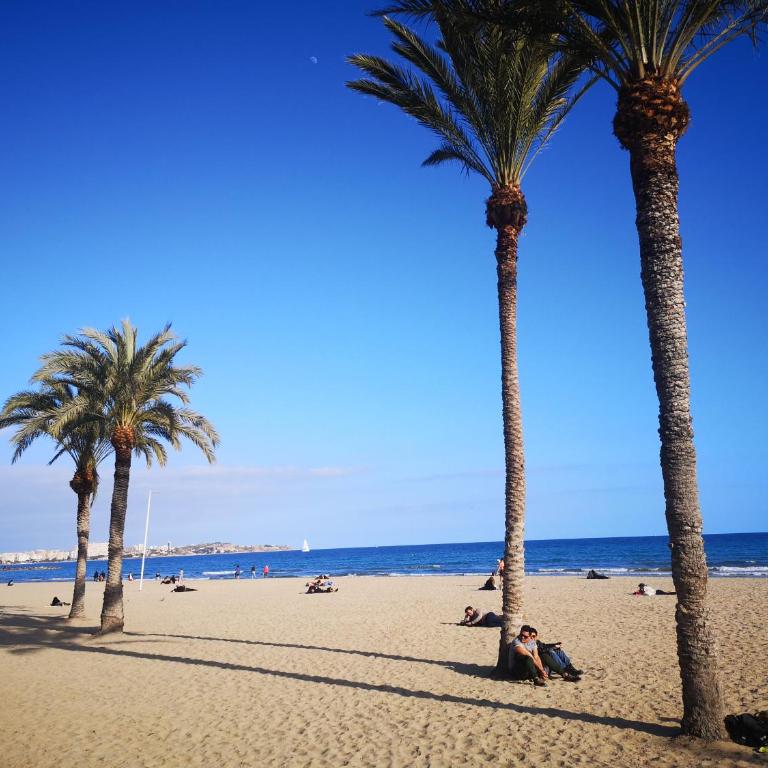 Allegra Suites Costa Blanca - Apartamento de 2 dormitorios - 3