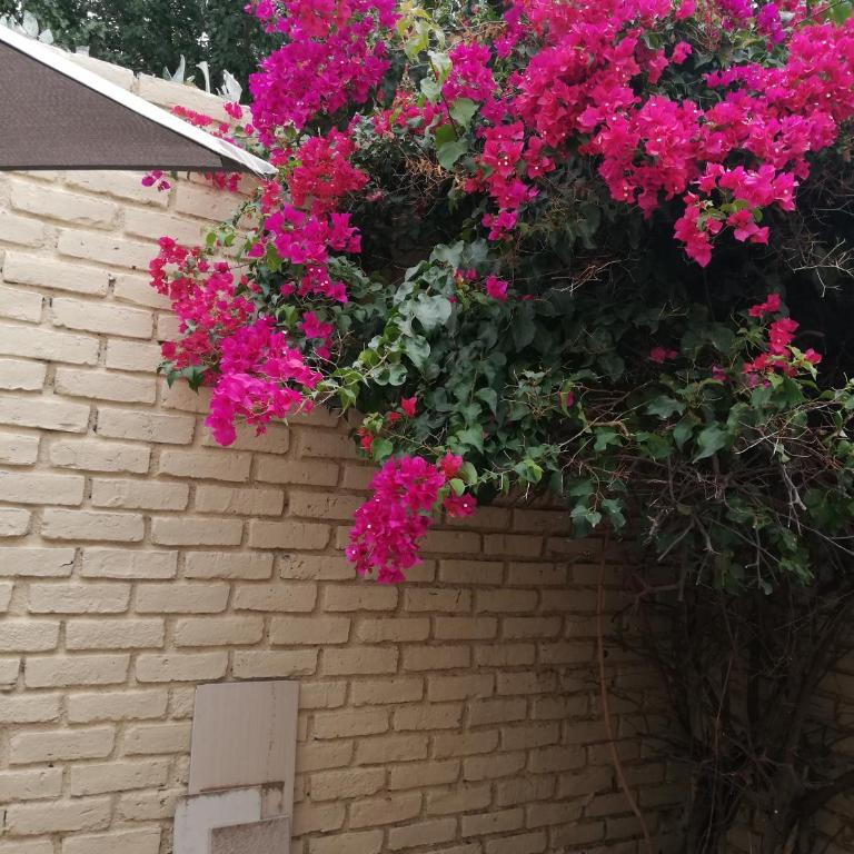 Santa Rosa - Two-Bedroom House - 5