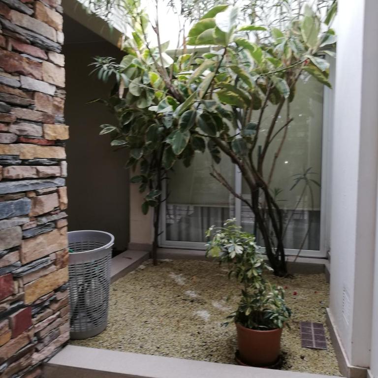 Santa Rosa - Two-Bedroom House - 8