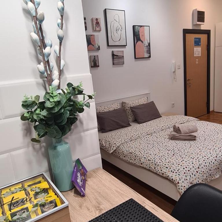 Apartman Delena - Apartman sa 1 Spavaćom Sobom - 40