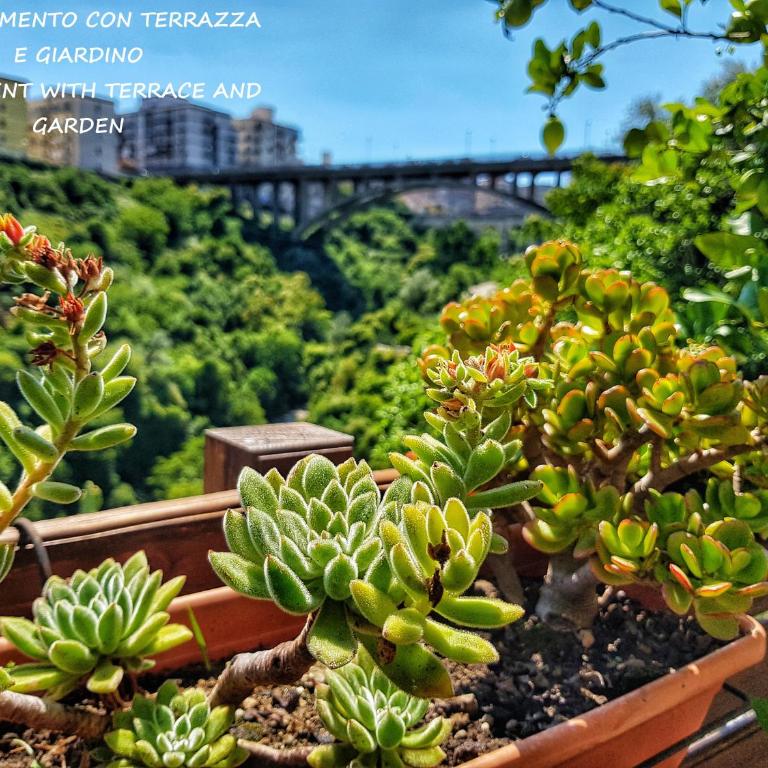 Il Giardino Sulla Valle - Appartamento con Terrazza - 14
