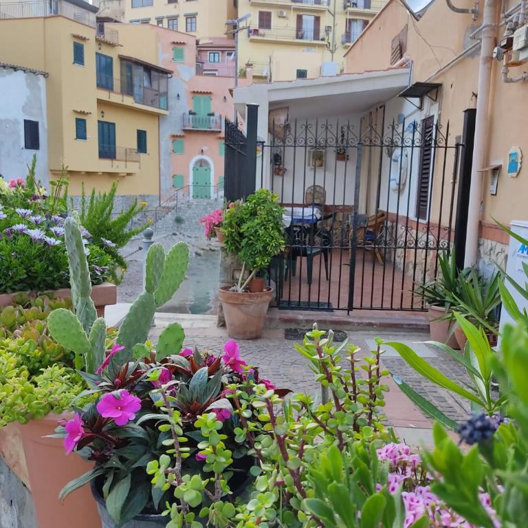 Casa Buscarini - Casa Vacanze - 32