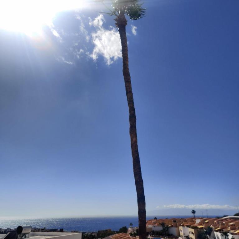 Golden Paradise Seaview - Apartamento - 9
