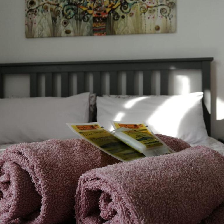 Casa Sansevera Lucca - Appartamento con 2 Camere da Letto - 4