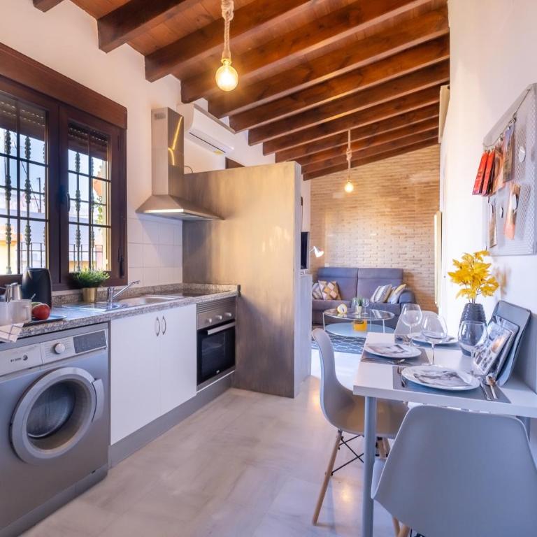 Triana Penthouse - Estudio con terraza - 13