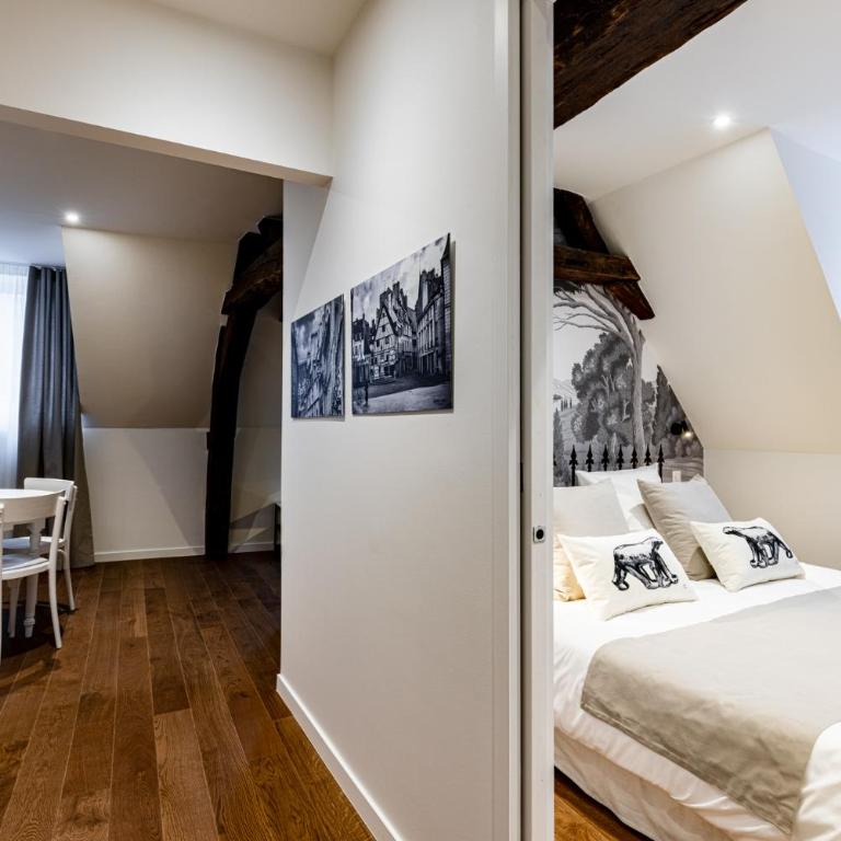 Hotel du Palais Dijon - Ours Pompon Apartment - 3rd floor - 4