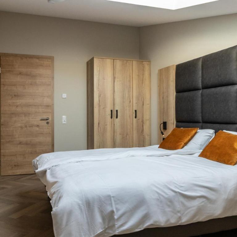Silvretta Panorama Suites - A6 Luxus 6P Penthouse nahe Skigebiet - 10