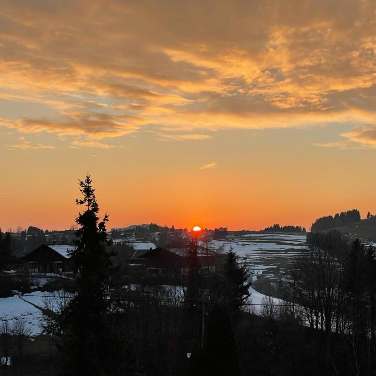 Fewo FRIADO im Ferienpark OA - ohne Zusatzkosten nach Anreise - mit Hallenbad, W-Lan, PKW-Garage, Kurtaxe mit Allgäu-Walser-Pass, Bett- und Handtuch-Wäsche sowie End-Reinigung - One-Bedroom Apartment - 18