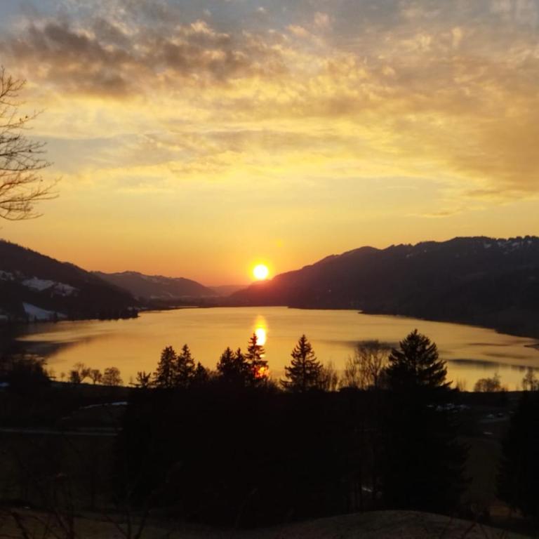Fewo FRIADO im Ferienpark OA - ohne Zusatzkosten nach Anreise - mit Hallenbad, W-Lan, PKW-Garage, Kurtaxe mit Allgäu-Walser-Pass, Bett- und Handtuch-Wäsche sowie End-Reinigung - One-Bedroom Apartment - 1