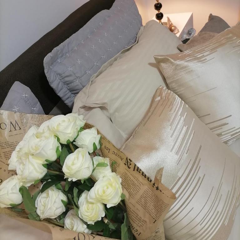 Apartman Milion Banja Koviljača - Apartman sa 1 Spavaćom Sobom - 7