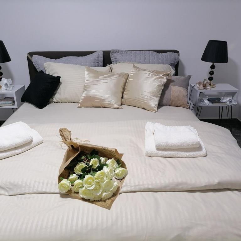 Apartman Milion Banja Koviljača - Apartman sa 1 Spavaćom Sobom - 8