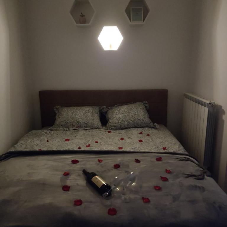 Apartman Dedic, Bulevar - Apartman sa 1 Spavaćom Sobom - 5