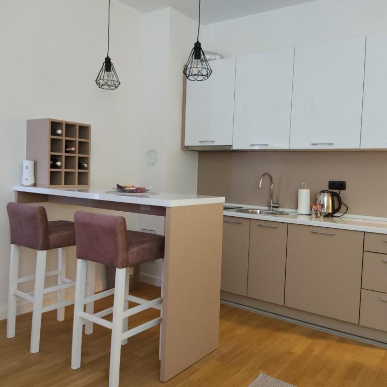 Apartman Dedic, Bulevar - Apartman sa 1 Spavaćom Sobom - 11
