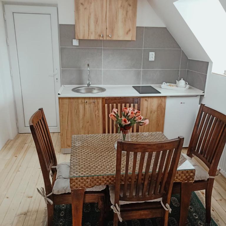 Vila Gala - Apartman sa 1 Spavaćom Sobom - 1