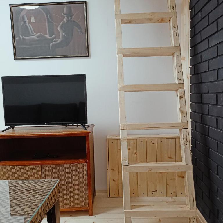 Vila Gala - Apartman sa 1 Spavaćom Sobom - 17