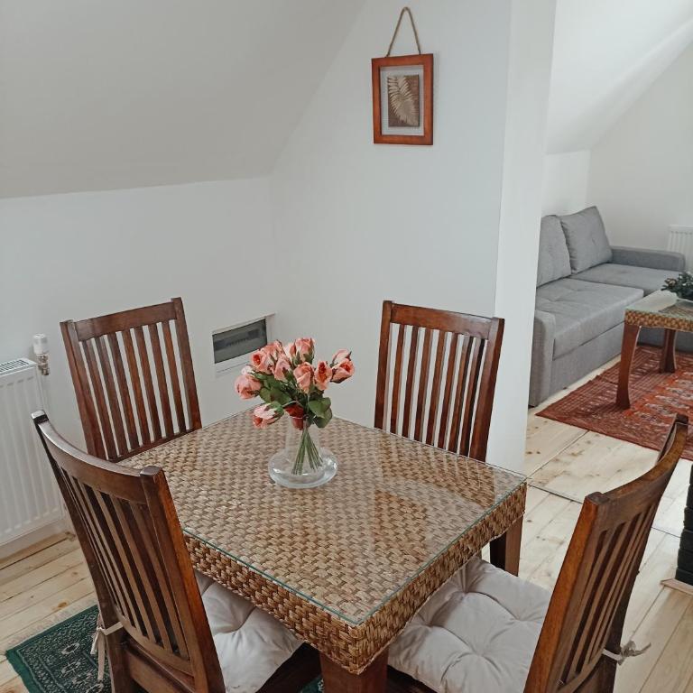 Vila Gala - Apartman sa 1 Spavaćom Sobom - 19