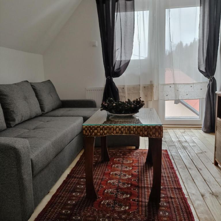 Vila Gala - Apartman sa 1 Spavaćom Sobom - 22