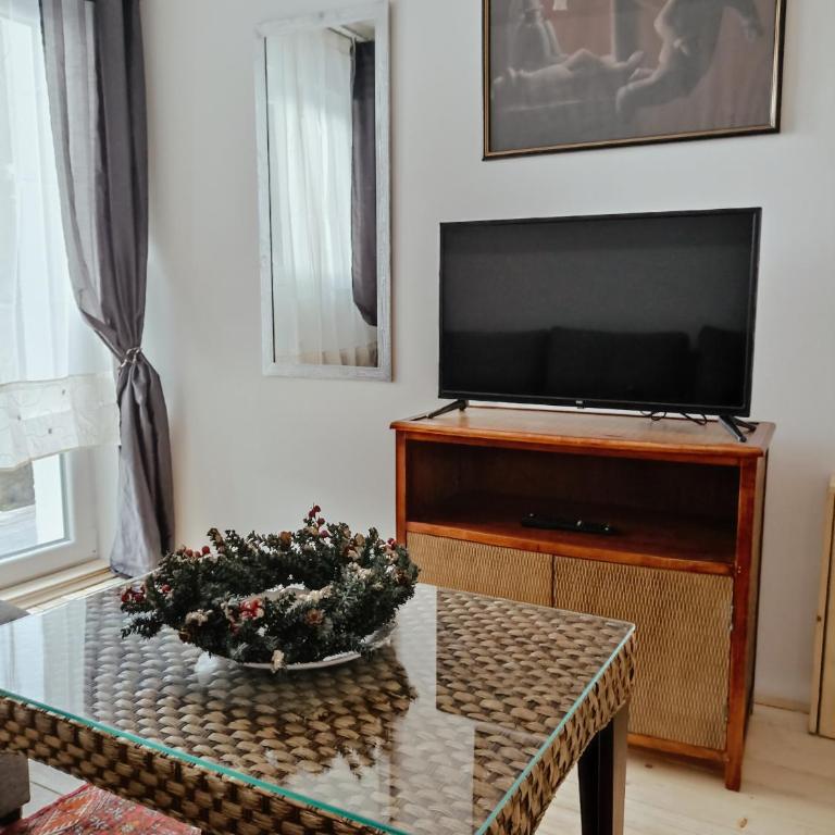 Vila Gala - Apartman sa 1 Spavaćom Sobom - 23