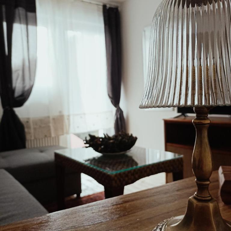 Vila Gala - Apartman sa 1 Spavaćom Sobom - 24