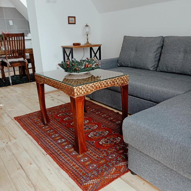 Vila Gala - Apartman sa 1 Spavaćom Sobom - 26