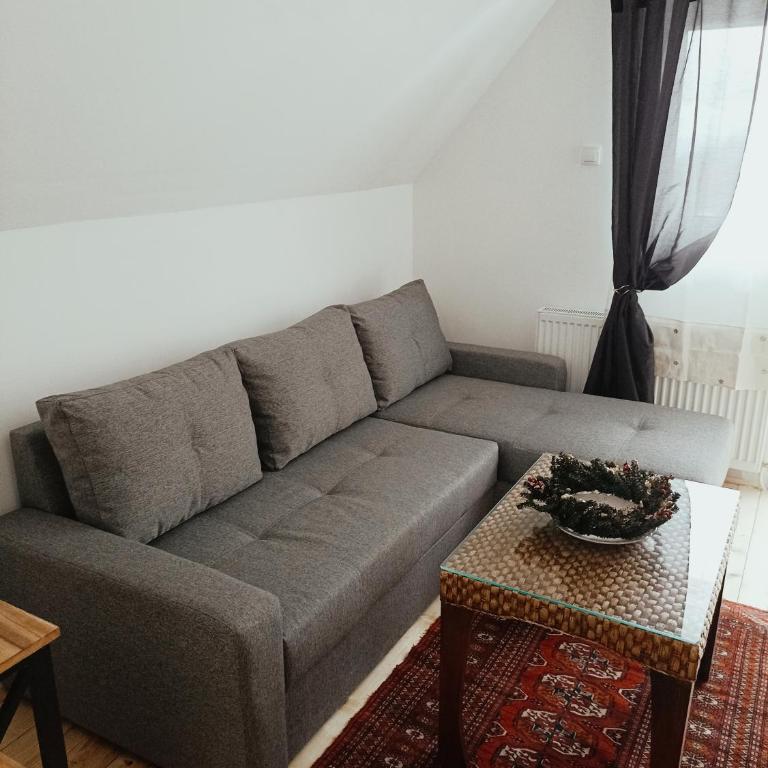 Vila Gala - Apartman sa 1 Spavaćom Sobom - 29
