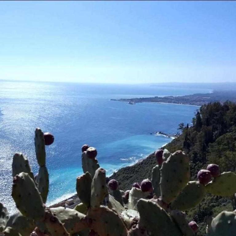 Il terrazzo di MarLu - Casa Vacanze - 19
