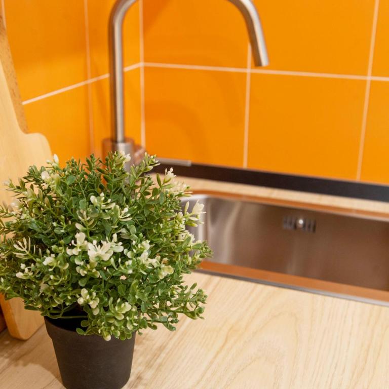 Quiet studio in the heart of the City - Appartamento con 1 Camera da Letto - 2