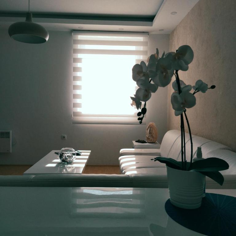 Apartman Teodora - One-Bedroom Apartment - 3