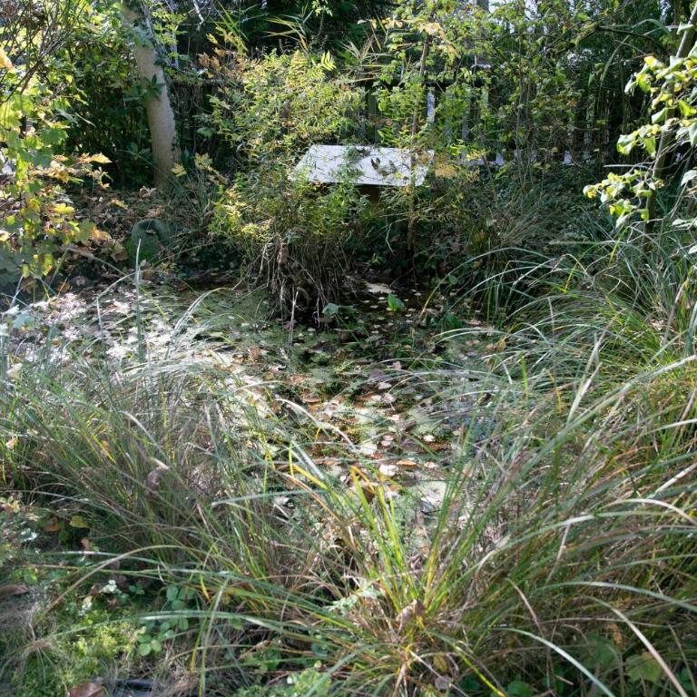 Family Wellhouse Green Garden direct in Salzburg, sunny big garden, up to 16 pax, bikes for free, BBQ, sunbeds, parking for free, 15 min sound of music - Villa - 71