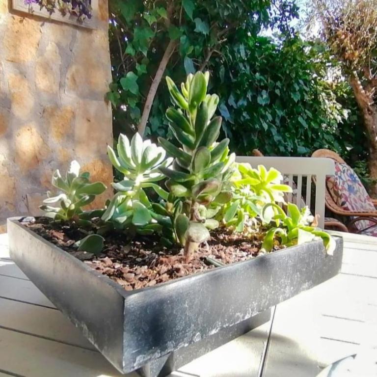 VACAY Dúplex Gala, jardín, aire libre, sol, en la Costa Brava, L'Escala! - Apartamento de 3 dormitorios - 19
