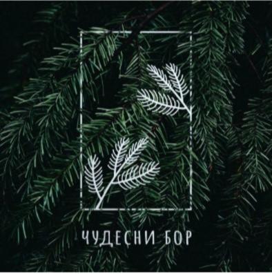 Nirvana Čudesni bor - Vila sa 3 Spavaće Sobe - 21