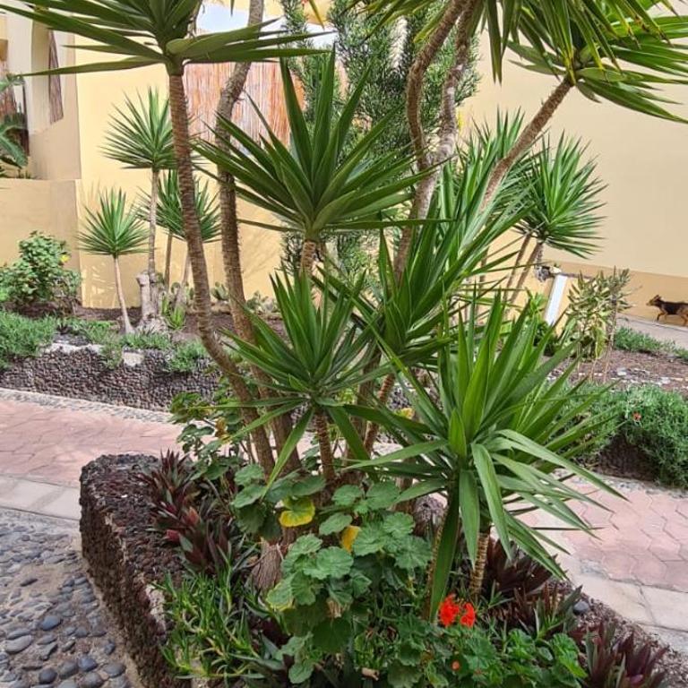 Mare verde 2 - Apartamento - 12