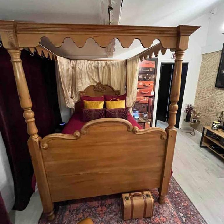 Harry Potter Studio à Blois - Appartement 1 Chambre - 3