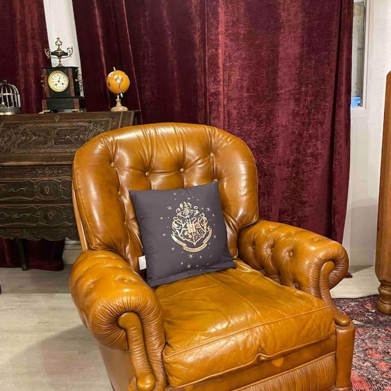 Harry Potter Studio à Blois - Appartement 1 Chambre - 8