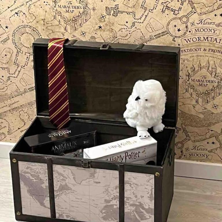 Harry Potter Studio à Blois - Appartement 1 Chambre - 11