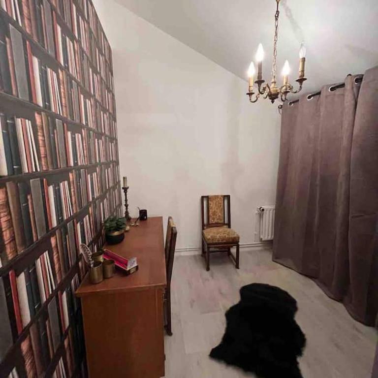 Harry Potter Studio à Blois - Appartement 1 Chambre - 30