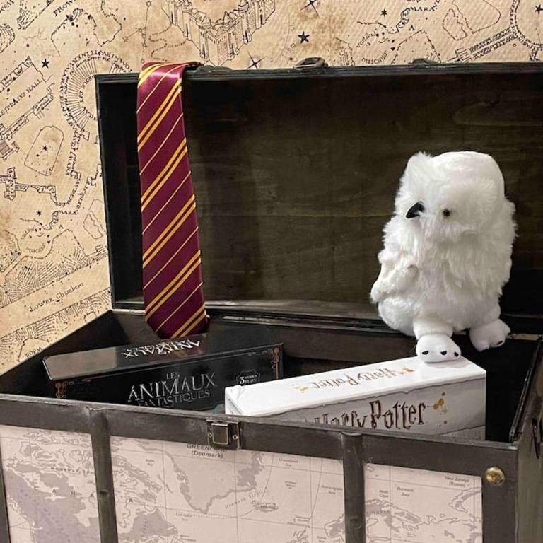 Harry Potter Studio à Blois - Appartement 1 Chambre - 23