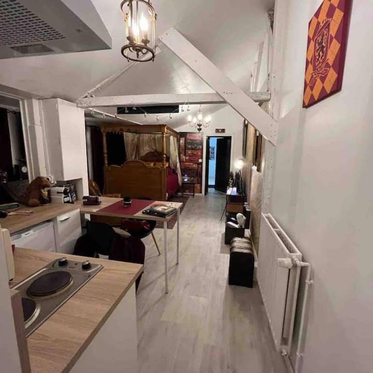 Harry Potter Studio à Blois - Appartement 1 Chambre - 37