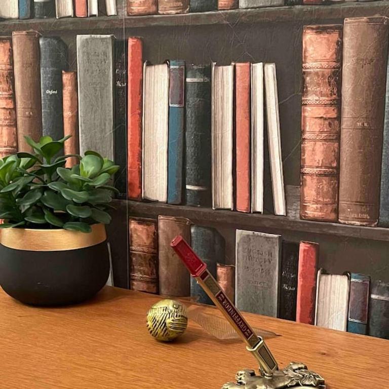 Harry Potter Studio à Blois - Appartement 1 Chambre - 34