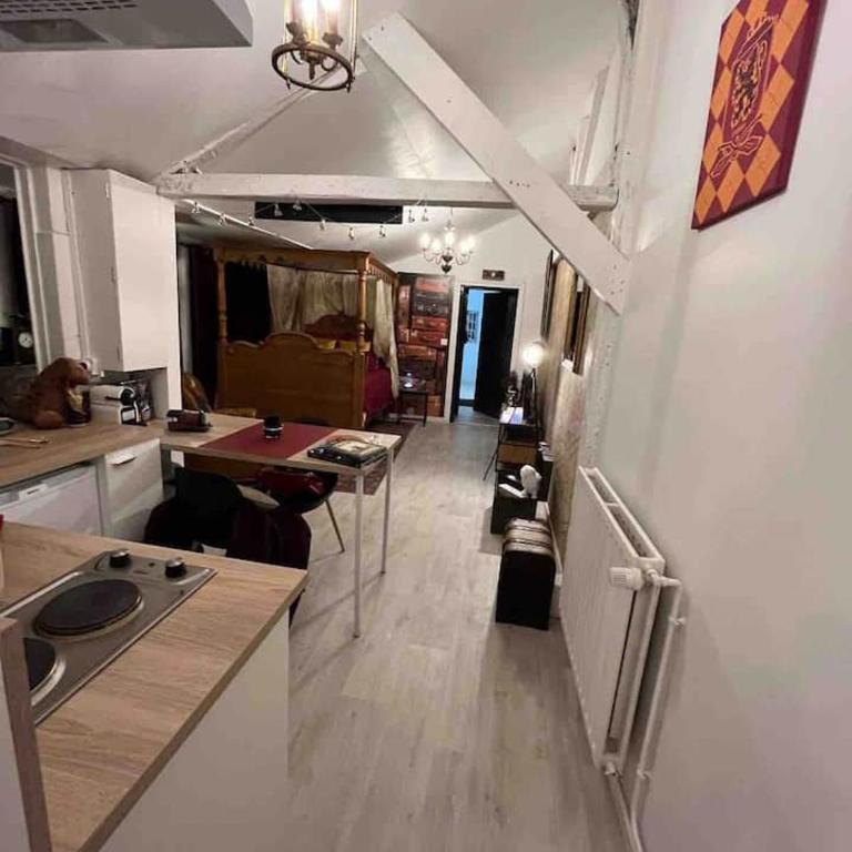 Harry Potter Studio à Blois - Appartement 1 Chambre - 50