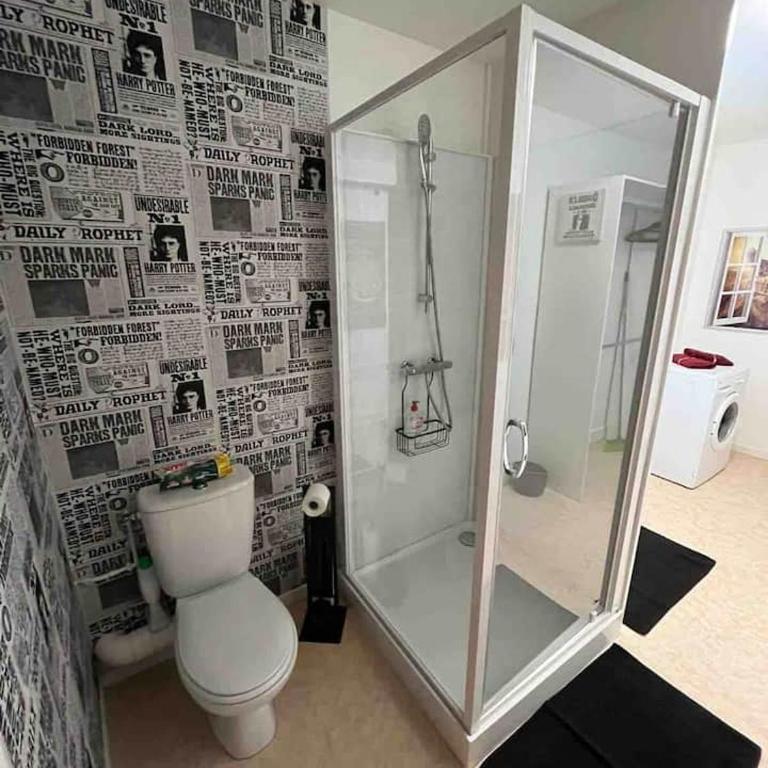 Harry Potter Studio à Blois - Appartement 1 Chambre - 41
