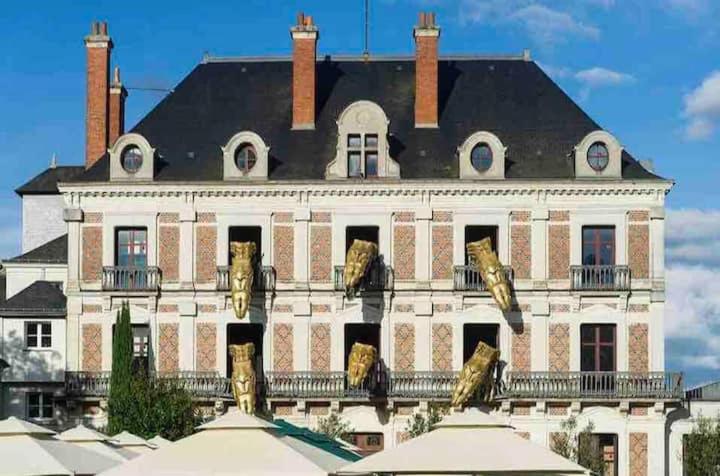 Harry Potter Studio à Blois - Appartement 1 Chambre - 67