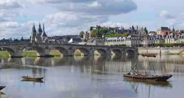Harry Potter Studio à Blois - Appartement 1 Chambre - 64