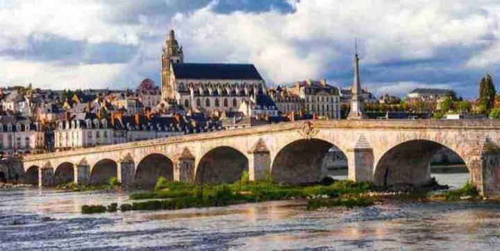 Harry Potter Studio à Blois - Appartement 1 Chambre - 71