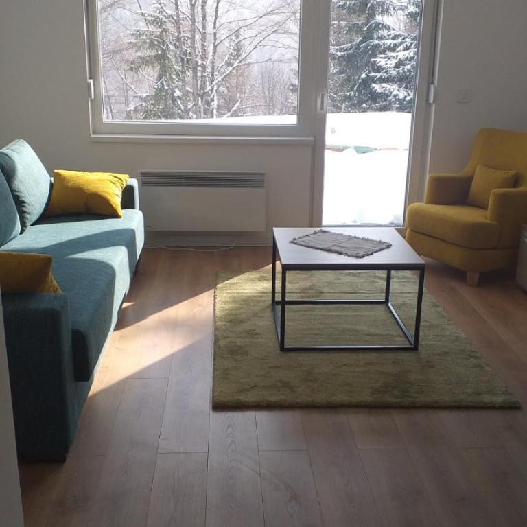 Apartmani Šišarka - Apartman sa 1 Spavaćom Sobom - 8