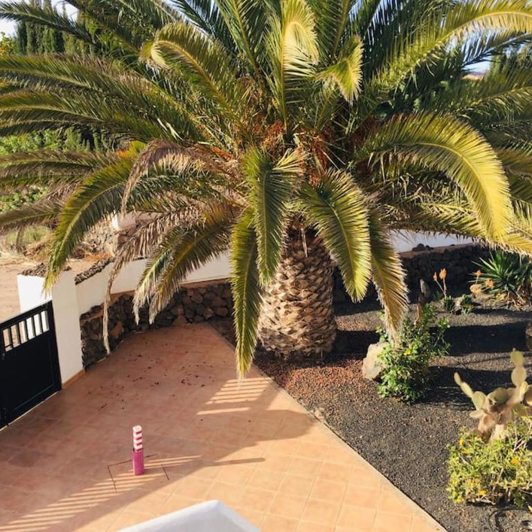 Casa YUKKA villa with heated pool - Villa de 3 dormitorios - 41