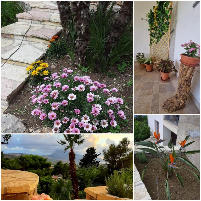 I FIORI DI LEA - Casa Vacanze - 10