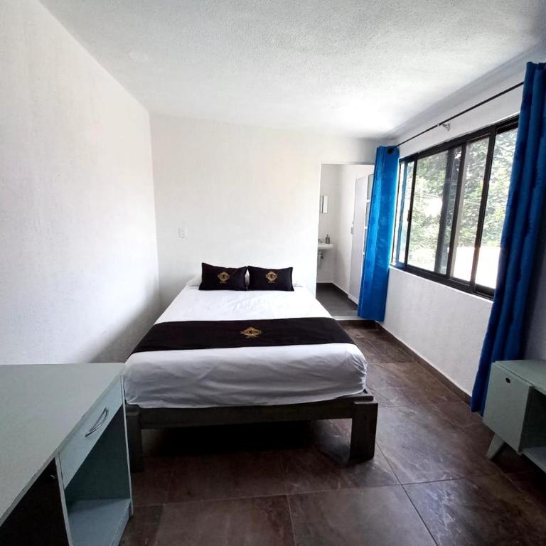 RCH Suite - Habitación Doble Estándar - 5