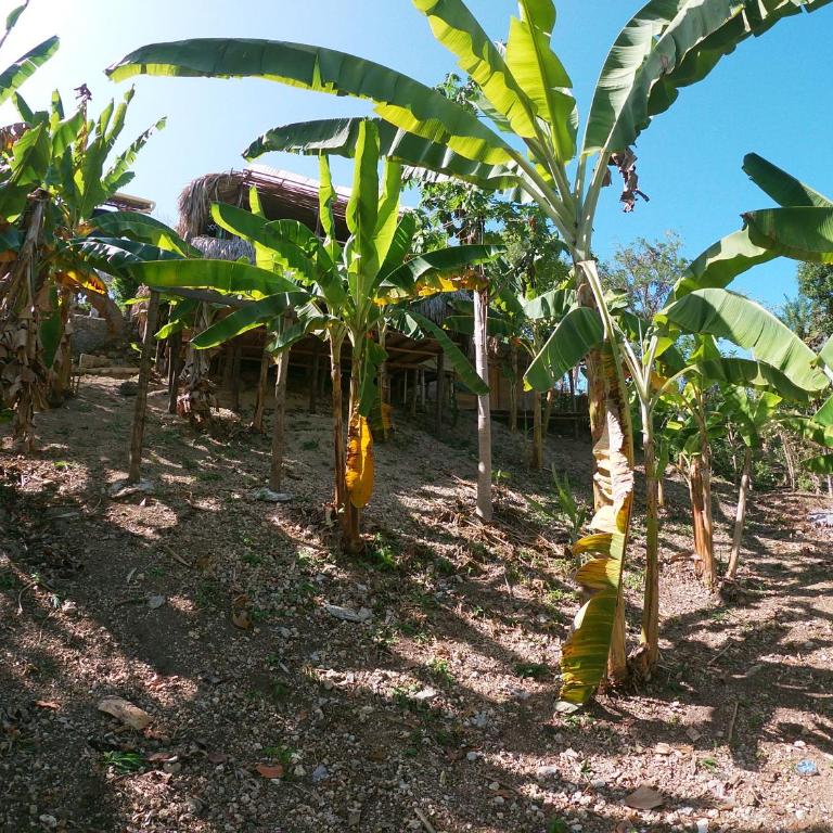 Private Beach house Maloka Surf - Casa con 1 dormitorio - 15