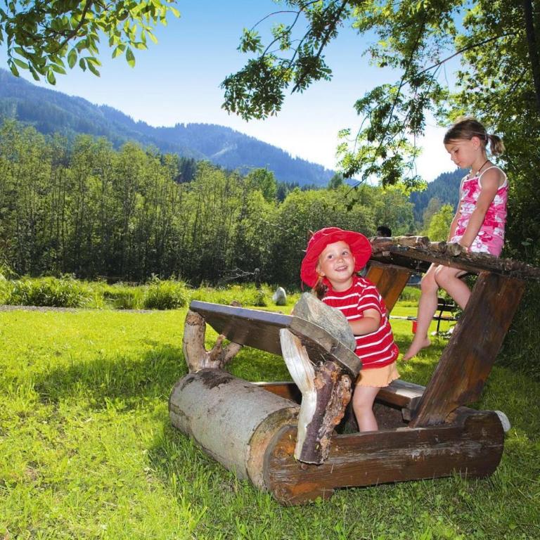 Chalet in Gaal by Ski Slopes & Bathing Pond - Chalet - 9